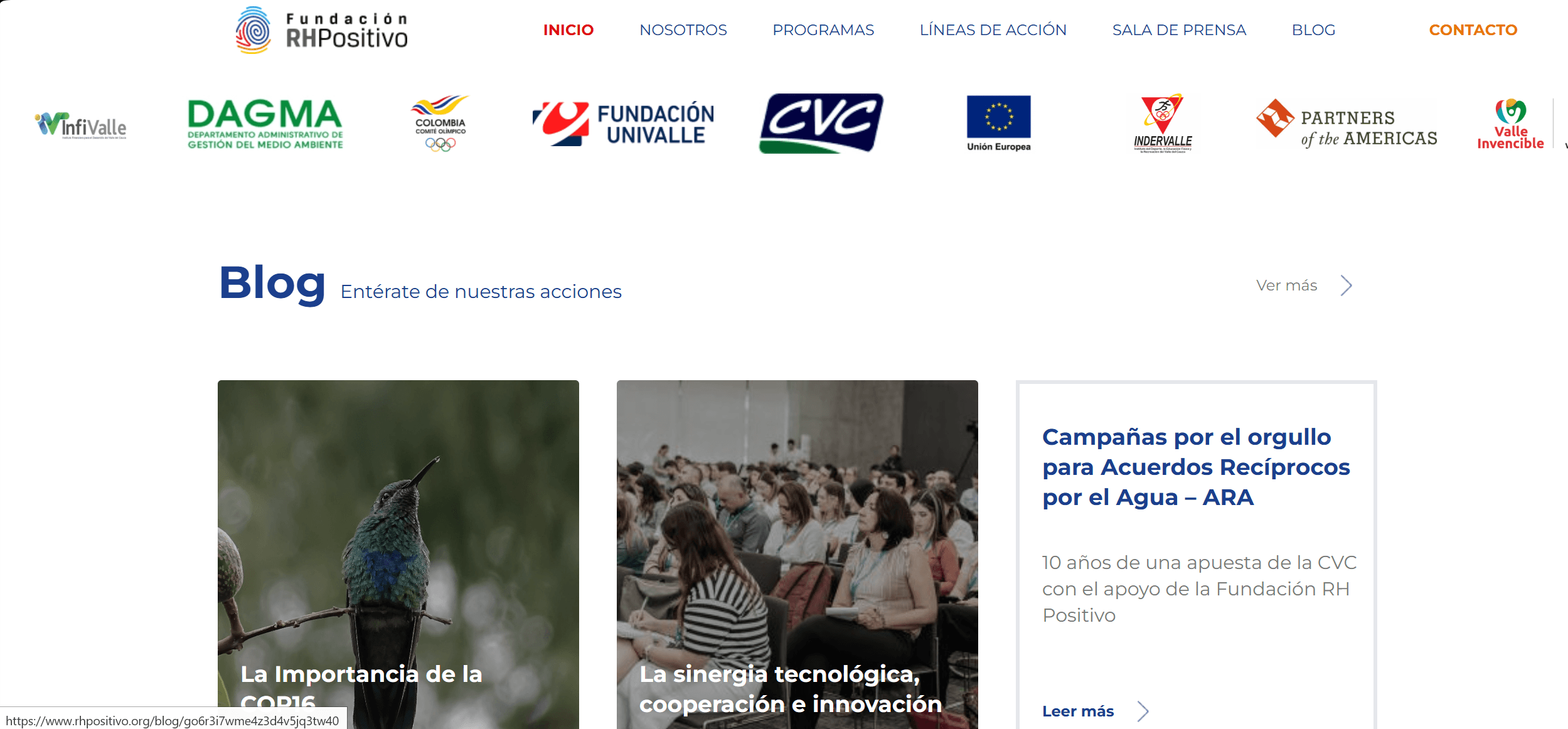 FUNDACIÓN RHPOSITIVO - Imagen 5